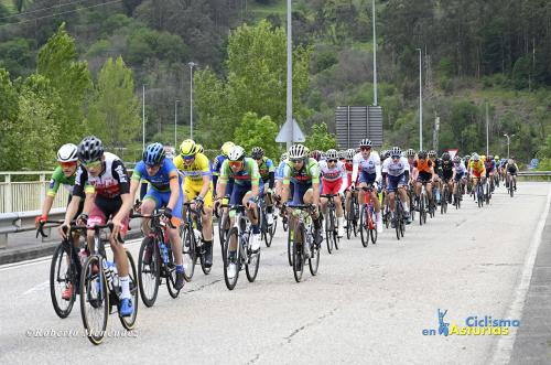 DSC5019 c-copia