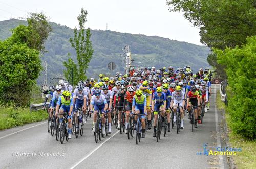 DSC5122 c-copia