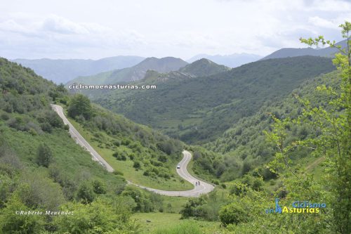 DSC8513-copia
