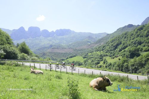 DSC8387-copia