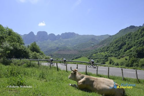 DSC8396-copia
