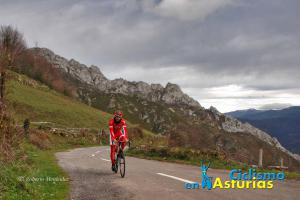 DSC_8216-dani-cubilla