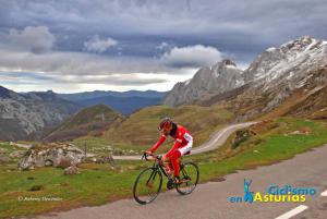 DSC_8243-dani-cubilla